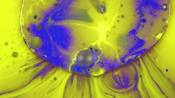 Abstract Colorful Paint Ink. Blue and Yellow Explosion.