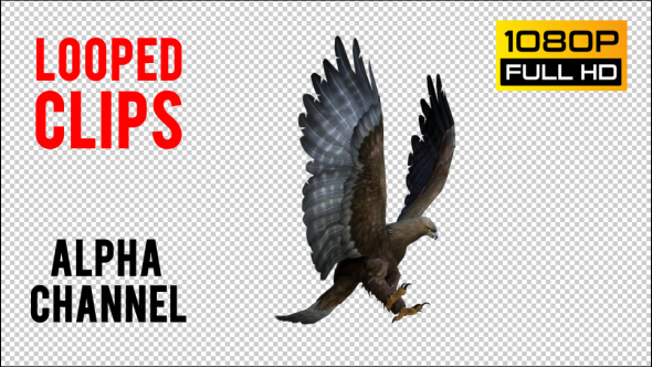 Eagle 4 Realistic