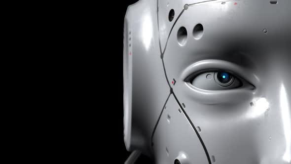 The robot's eyes are shot close-up observing what's going on