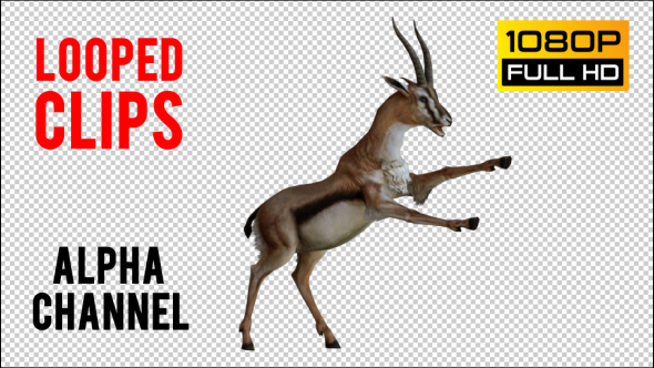 Gazelle 1 Realistic Pack 3 alt