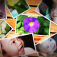 Photos On The Wall - VideoHive Item for Sale