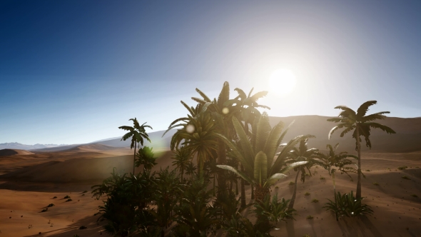 Erg Chebbi Dunes in the Sahara Desert