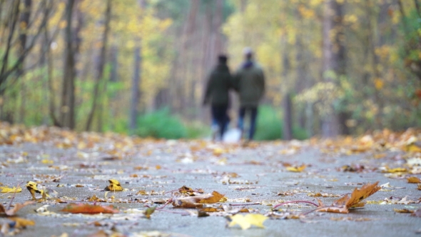 Nature Autumn Walk. People Walking in Autumn Park Forest