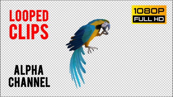 Parrot 2 Realistic alt