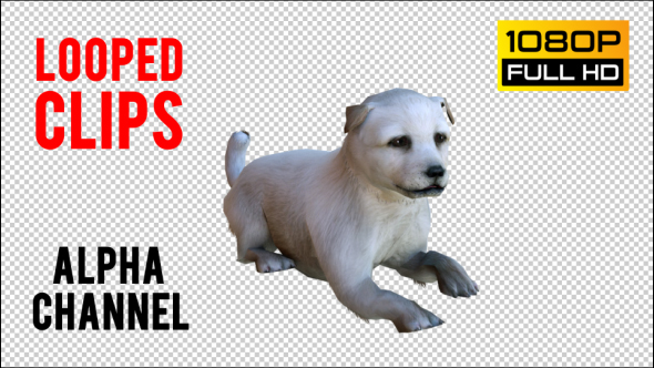 Puppy 2 Realistic alt