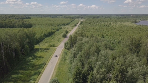 The Car Is on the Road in the Woods. Aerial Landscape