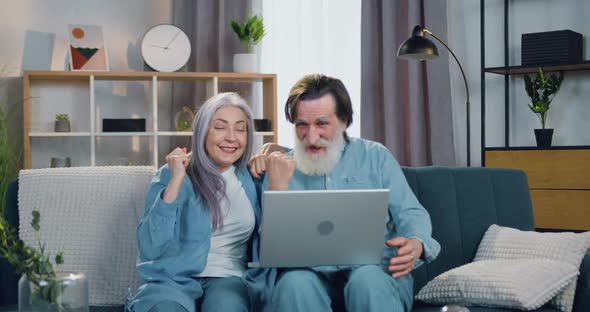 Senior Couple Celebrating Victory on Online Giveaway with Raised hands