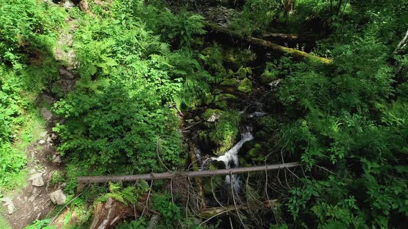 Clean creek in the forest near the waterfall