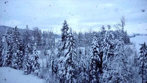 Cold Winter Snow Landscape Scenery alt