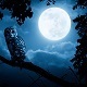 Special Horror Themes Pack