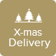 X-mas Delivery - Christmas Delivery Offer Email Template PSD - GraphicRiver Item for Sale