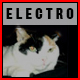Electronic