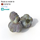 Garlic - 3DOcean Item for Sale