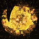 Golden Dust Logo Reveal - VideoHive Item for Sale