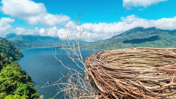 a Huge Nest on Lake Buyan and Tamblingan on Bali Island