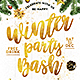 Winter Party Bash - GraphicRiver Item for Sale