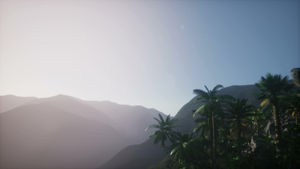 Mountain and Field Landscape with Palms alt