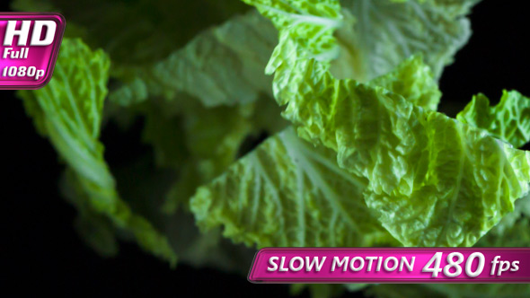 Cabbage Leaves In Flight