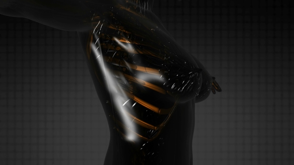 Human Body with Visible Skeletal Bones alt