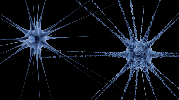 Organic Cell Deformation alt