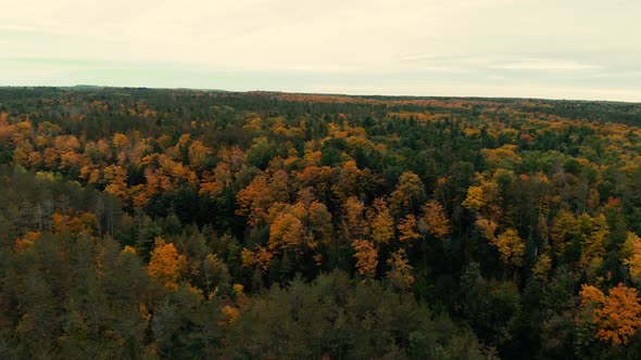 Drone flight over fall forest in Canada. Autumn leaves and trees. Orange, Red, Yellow and Green beau