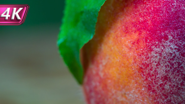 Peach With Green Leaf