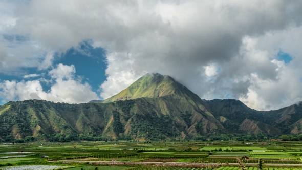 View Field at Sembalun Hill, Lombok Island, Indonesia