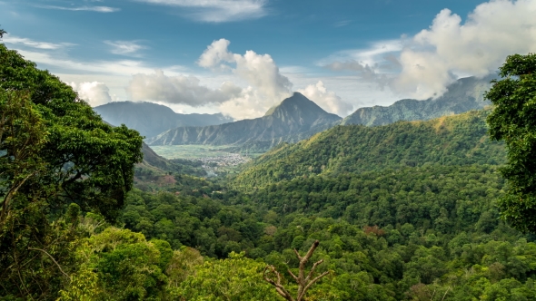 Beautiful  View Over the Green Tropical Landscape in Sembalun Lawang, Lombok, Indonesia