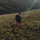 Tourist with a Backpack Walks Among the Hills - VideoHive Item for Sale