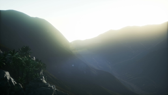 Sunset Beams Through Palm Trees alt