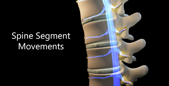Spine Segment Movements alt