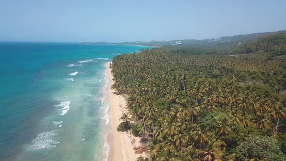 4k 24fps Beach Int He Caribbean Virgin With Palmstree