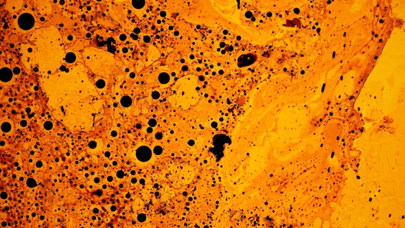 Ferromagnetic Fluid Creates Amazing Drawings in the Yellow Liquid,like Oil Substance alt