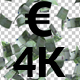 100 Euro Falling - VideoHive Item for Sale