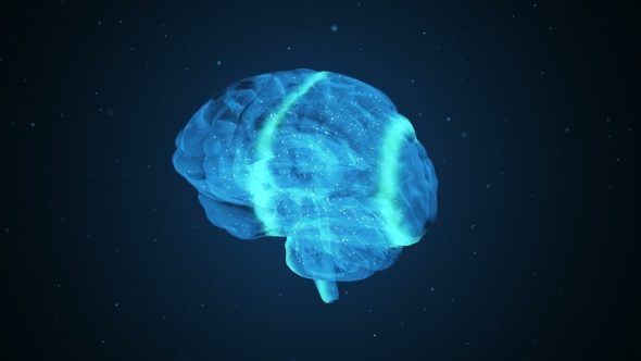 Proper Brain Work During Extreme Activity