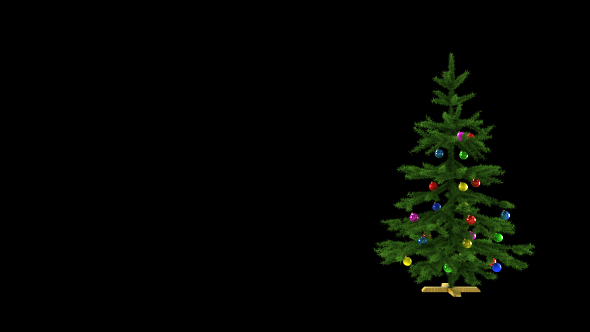 Crazy Christmas Tree