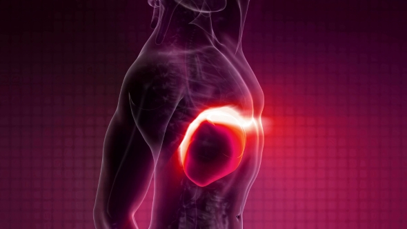 Anatomy Scan of Human Liver alt