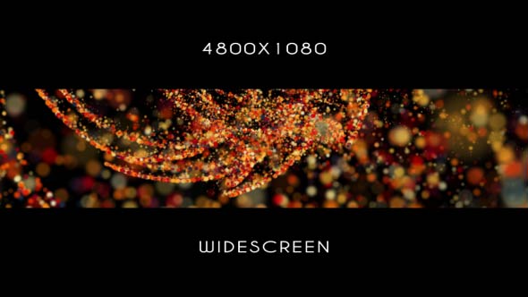 Carnival Widescreen