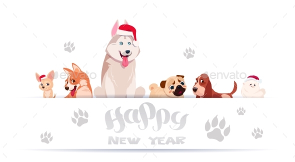Group of Dogs Sitting on White Background