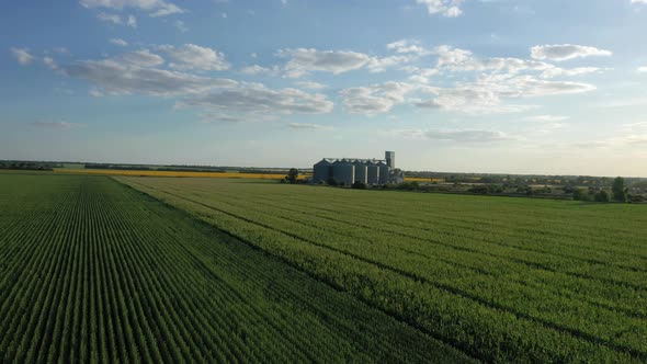 Modern Grain Silos At The Field Of Golden Wheat 16