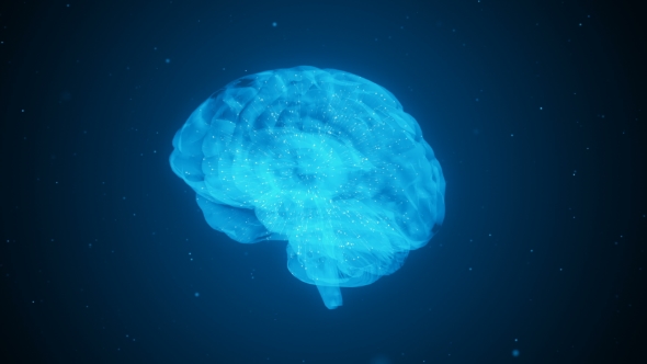 Outbreaks of Brain Activity During Work alt