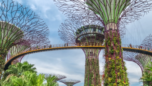 Futuric Super Trees in Garden By the Bay at Singapore