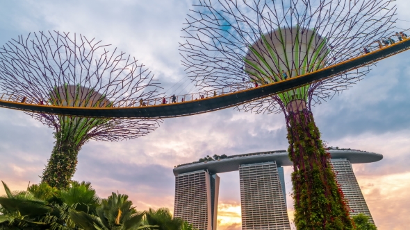Sunset at the Futuric Gardens By the Bay in Singapore. August 2017