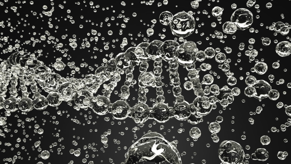 Breaking DNA Molecule Model alt