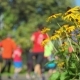 City Marathon, Running Athletes on Street - VideoHive Item for Sale