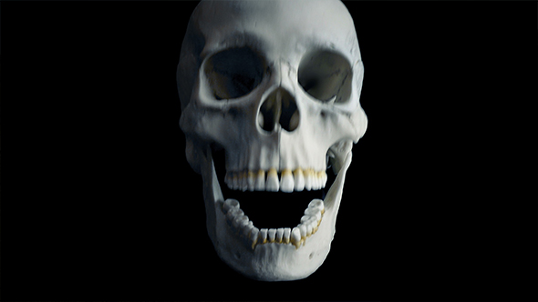 Skull Opens Mouth Eats Camera POV - 4 Versions