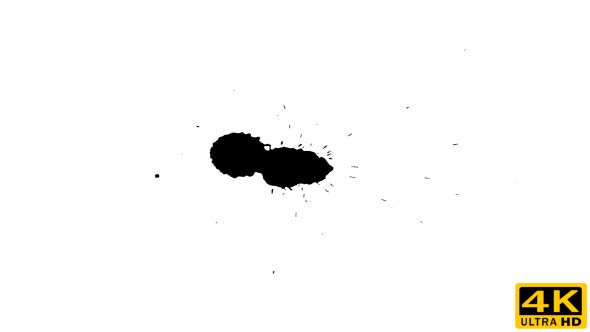 Ink Drop on Dry Paper 06