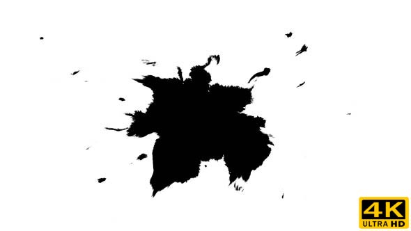 Ink Drops on Wet Paper 13