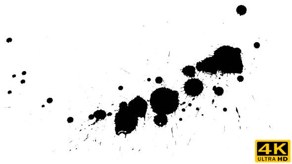 Ink Drops on Dry Paper 26