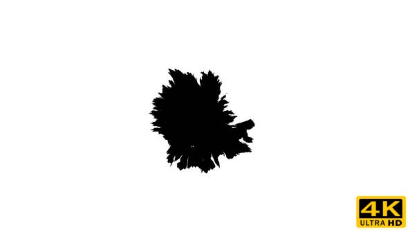 Ink Drops on Wet Paper 01